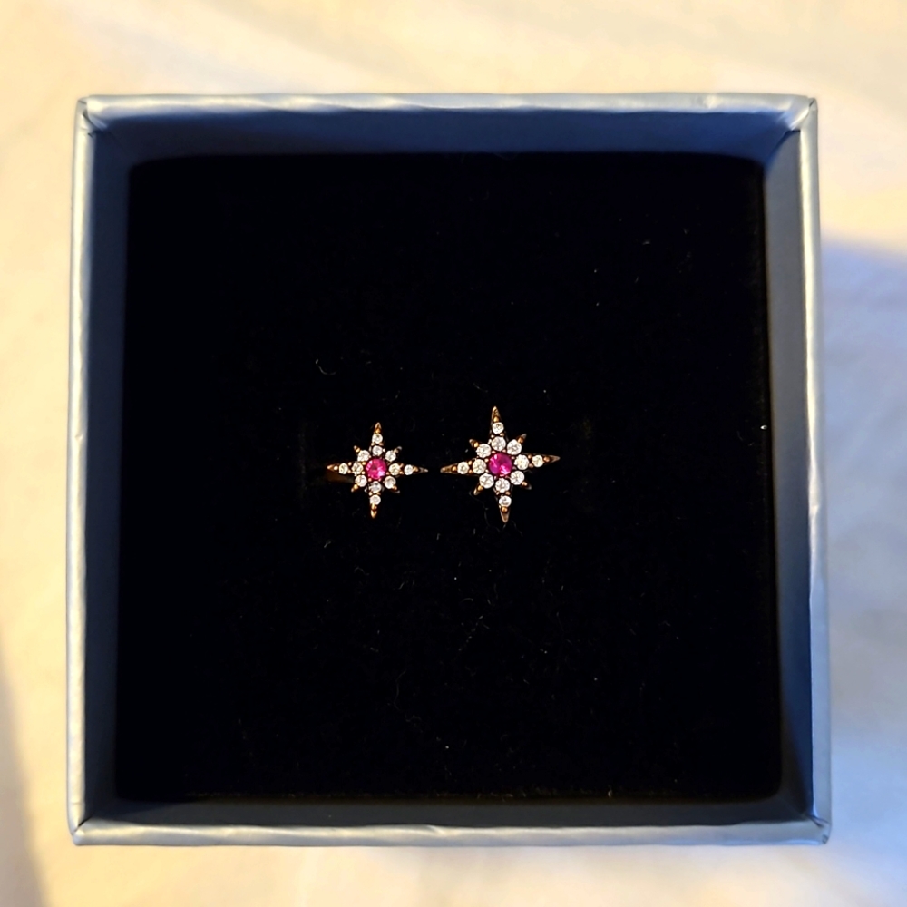 Taylor Swift Arcade Ring in garnet